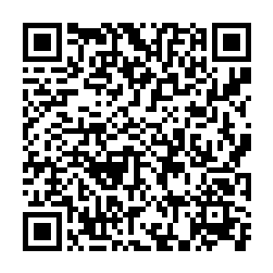 将这些材料中蕴含的血脉力量和那符咒的力量完美的融合在了一起二维码生成