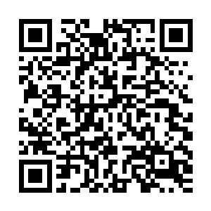 小女孩动作迅速的一只只打开盒子看并且审视流墨墨一下又放下二维码生成