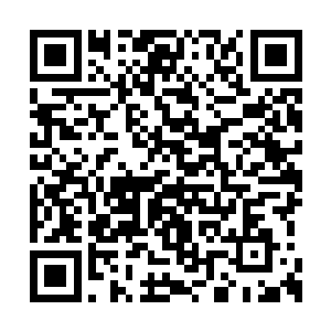 小菲姐已经在酒店发出了举行记者招待会的信息二维码生成