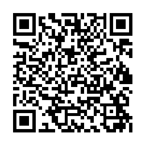 少夫人您的意思是……要将偌大的修罗界交给我二维码生成