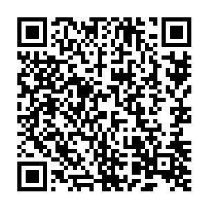 就不要死缠烂打着天鹅了……癞蛤蟆不管怎么死缠烂打还是癞蛤蟆二维码生成