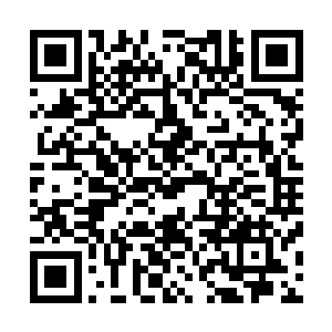 就仿佛是一个普通的对自己婚事不满的泼辣少女一般的怒叫二维码生成