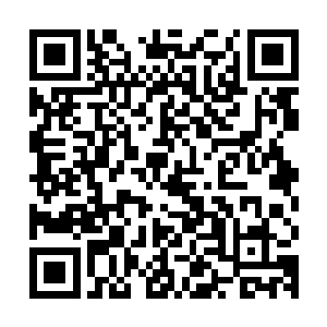 就像是一件漂亮地衣衫还没有来得及穿在身上就已经被撕地粉碎二维码生成