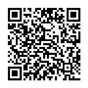 就听见那柳树上柳条一下子跟受刺激一样唰唰的动了起来二维码生成