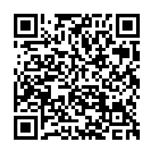 就在一元宗的三个武侯刚刚飞过战场中部的时候二维码生成