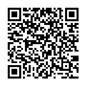 就在凤羽珩满怀希望地准备踏上这最后十步的征程时二维码生成