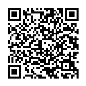 就在赵虎的脑袋即将承受不住海量信息的冲击之时二维码生成