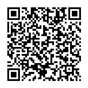 就好像是学术大会上知识渊博的教授正在向所有人讲述他的科研成果二维码生成