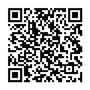 就担心会不会赚的你们东华学院的孩子们哭爹喊娘啊二维码生成