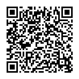 就是不知道万剑锋的师兄弟们有没有这个和我们万法峰比拼的胆量二维码生成