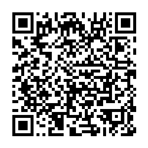 就是宫里的御林军和六哥手中那三万东北军被你要了去给了八皇子二维码生成