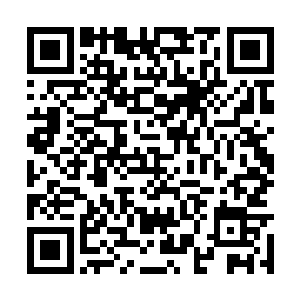 就是将体内的力量如狮子毛发一般张出来随意使用二维码生成