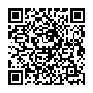 就是性能一般的晶脑无法完美模拟出人脑对战斗的反应二维码生成