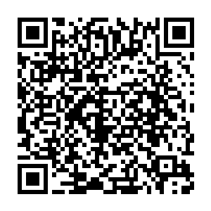 就是本届拍卖会的压轴丹符器阵也会有少量出现在平时的拍卖会上二维码生成