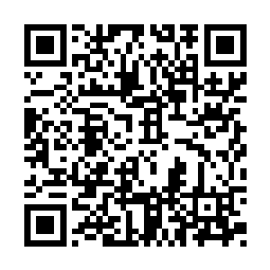 就是缺乏透过表面抓本质举一反三的精神和能力二维码生成