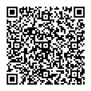 就是要在大家都认为他才刚来一天不可能动手的情况下以迅雷不及掩耳之势打所有人一个措手不及二维码生成