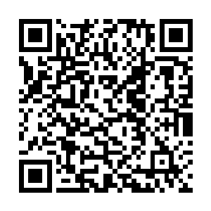 就曾经经历过一次食人蜂冲击部族居住地的可怕景象二维码生成