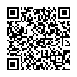 就有一个已经死亡的华族妇女连肠子和内脏都被撕扯了出来二维码生成