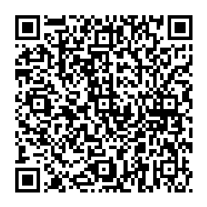 就有一座隐秘永固时空门……高层仙道文明遗留……其陨石资源是青脉最重要资源渠道……青帝此战退路亦是……二维码生成