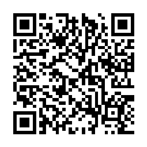 就看到又有一辆没有牌照的红旗车缓缓地开了过来二维码生成