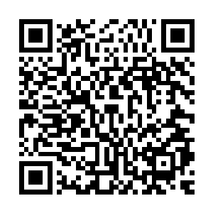 就看到那一直小心翼翼地站在旁边的王老实憨笑着往前挪了两步二维码生成