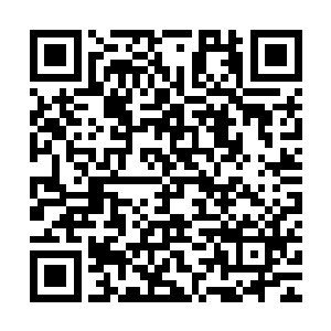 就等今年下半年骑龙岭风景区基础设施建设得差不多时启动建设二维码生成