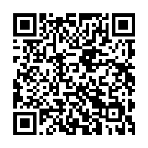 就算她找了其他部的外援也不可能和专业的篮球运动员相比啊二维码生成