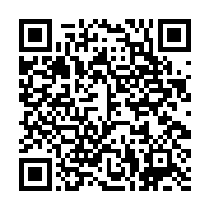 就算是他这个从小便被老头子以各种各样的手段训练二维码生成