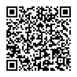 就算是再多几倍她相信凭借着种植和养殖也一样能让所有人不饿肚子二维码生成