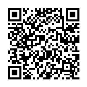 就算是因此被剥夺了袖标的程涛也没有一点怨言二维码生成