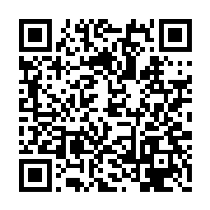 就算是戚家很多嫡系的强者对他们都是恭敬有加二维码生成