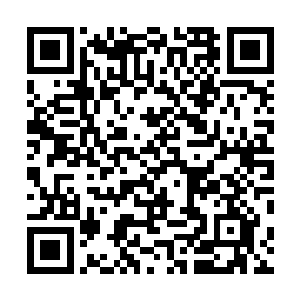 就算是试验台联系到地脉的力量可以拒绝更大推力的推动二维码生成
