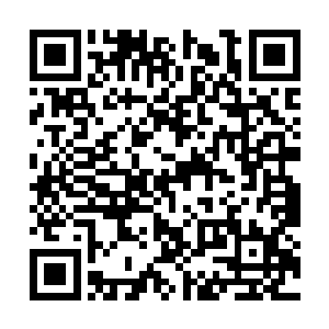 就算这是上一代木灵族长以最后的生命留下的启示二维码生成