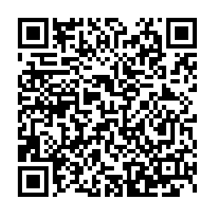 就连其他几个身手稍稍逊色几分的流字辈小子们都没有出动这次的任务二维码生成