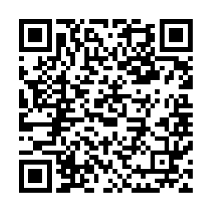 就连同公司的一些艺人长辈和工作人员也在嘀嘀咕咕的讨论二维码生成