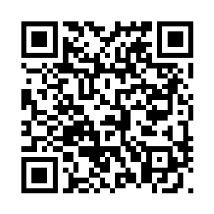 就连最高议会的a级调查队都不是对手二维码生成