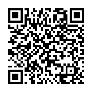 尽管医生利用自身异能所凝聚而出的手术刀切开了楚旬的胸膛二维码生成