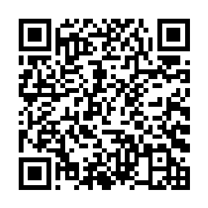 居然就是我们之前去全聚德的时候撞了我们车的贵妇二维码生成