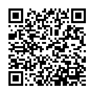 屋子里除了安老爷子及安老二没有发现安文文难看又愤怒的脸色二维码生成