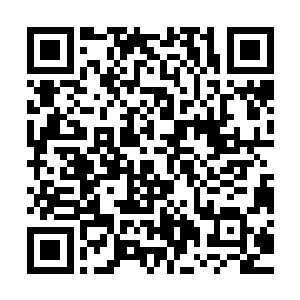 属下奉命在这里已经等候了三百多万年时间才终于等到你的降临二维码生成