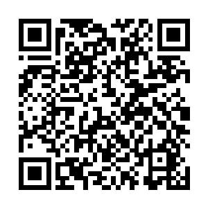 山上山下数不清多少双羡慕嫉妒的眼神紧紧盯着王定朝二维码生成