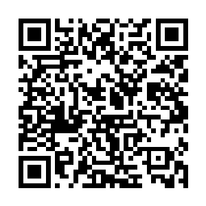 山林间的鸟鸣和风吹动树叶的哗哗声都叫他无比紧张二维码生成