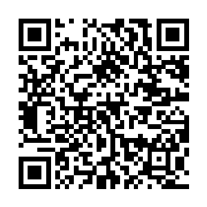 已经半只脚迈出去的雷鸣慢慢的把已经出去的腿给收了回来二维码生成