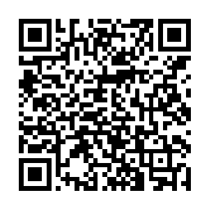 已经完完全全从心底认同了秦嫣然第一的实力和地位二维码生成