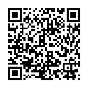 已经差不多把失落山庄中任何有用的书籍都吃完了二维码生成