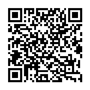 已经恢复了双臂的楚旬却已经从后方死死抓住了他的右拳二维码生成