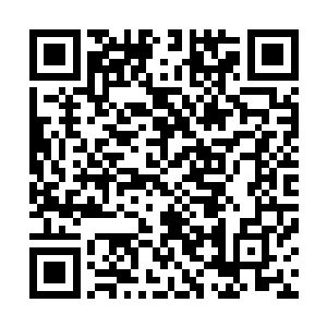 已经排列分装到一个个一次性注射器里面的特效药有上百支二维码生成