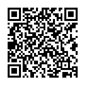已经来过几次的三小纷纷表示要带着第一次来的齐文谡去打兔子二维码生成