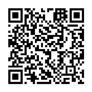 已经练着了学校新进了四架机甲提前准备准备总是好的二维码生成