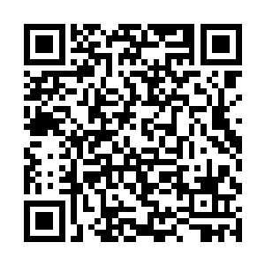 巴克注意到东方面孔显然是他们决定检查的重要依据二维码生成